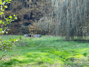 Ruches pour les abeilles au milieu d'un champ