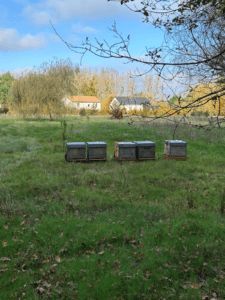 5 ruches pour les abeilles